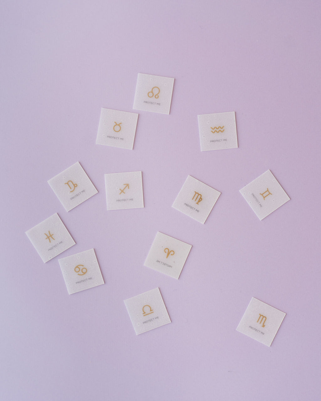 DSC07700_1024x.jpg?v=1741767791